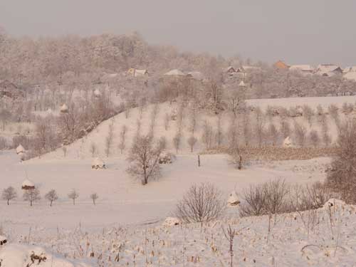 Ger ca de boboteaza in Grosi (c) L.P. GOJA